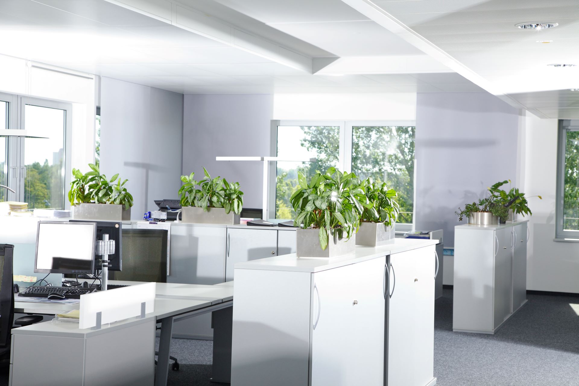 Resume Writing Services Clear Island Waters QLD